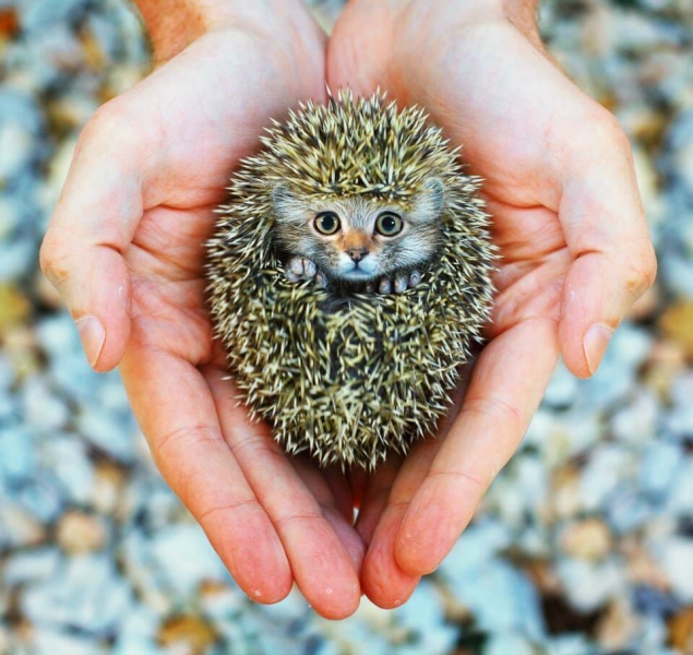 Photo: Sarah DeRemer